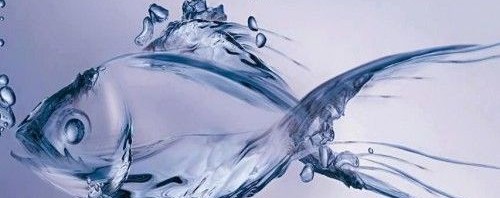 Szépítkezés a halacskákkal – Halpedikűr és -manikűr