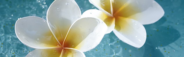 Nyári szépítő újdonságok