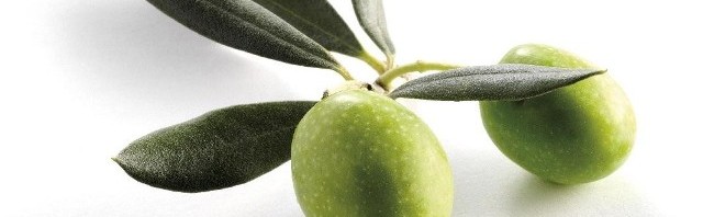 Mediterrán kincs – az olíva