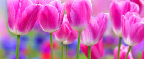 Tavaszdopping: 7+6 tipp a teljes megújuláshoz