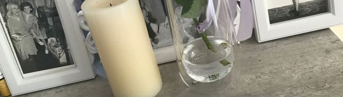 Gretas Kitchen hírek és újdonságok